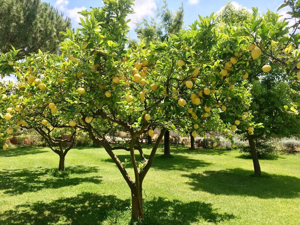 סנטה מריה די קסטלבאטה Villa Tina מראה חיצוני תמונה