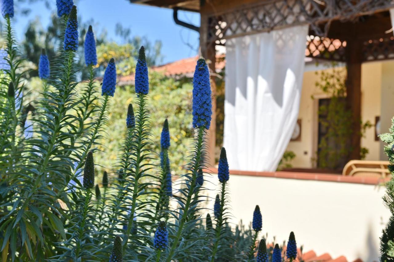 סנטה מריה די קסטלבאטה Villa Tina מראה חיצוני תמונה